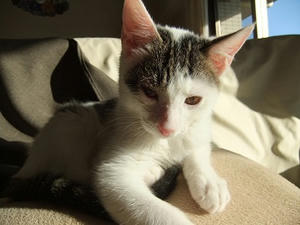 DSCF0215.JPG