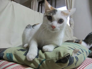 DSCF9909.JPG