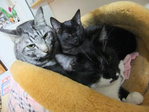 DSCF0297.JPG