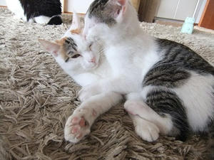 DSCF0178.JPG