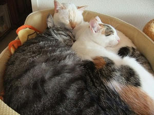 DSCF0256.JPG