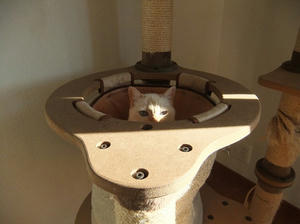 DSCF0266.JPG