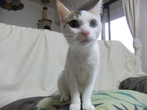 DSCF9906.JPG