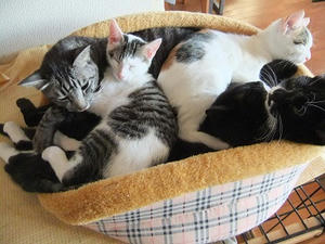 DSCF0355.JPG