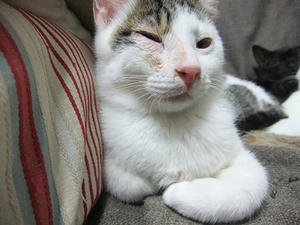 DSCF0291.JPG