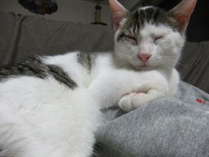DSCF0368.JPG