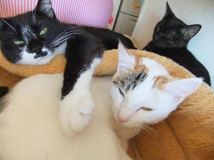 DSCF0144.JPG