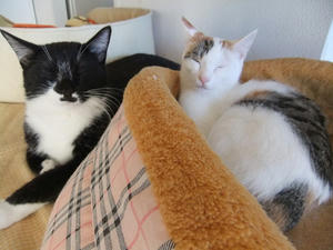 DSCF0243.JPG