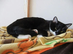 DSCF0210.JPG