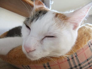 DSCF0312.JPG