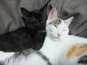 DSCF0287.JPG