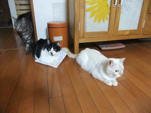 DSCF9342.JPG