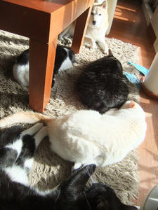 DSCF0317.JPG