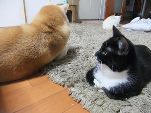 DSCF0125.JPG