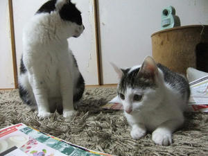 DSCF0045.JPG