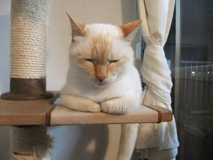 DSCF8319.JPG