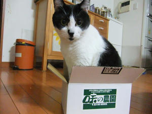 DSCF9489.JPG