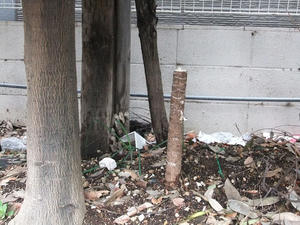 DSCF0411.JPG