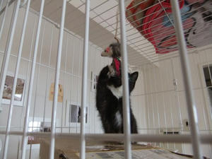 DSCF0478.JPG
