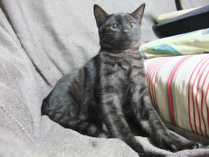 DSCF9965.JPG