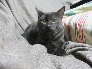 DSCF9964.JPG