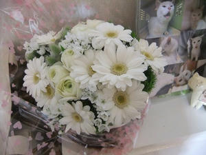 DSCF0535.JPG