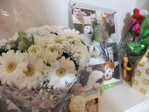 DSCF0533.JPG