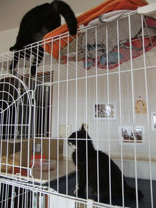 DSCF0496.JPG