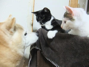 DSCF0378.JPG