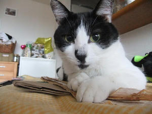 DSCF8537-1.jpg