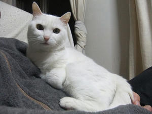 DSCF7762-1.jpg