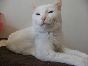 DSCF0443-1.jpg