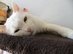 DSCF0441-1.jpg