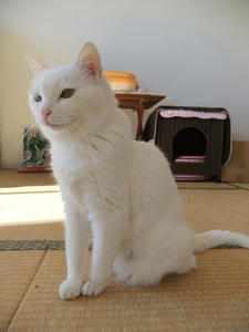 DSCF0465-1.jpg