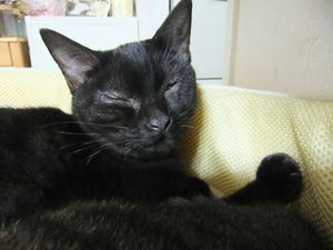 DSCF0537.JPG
