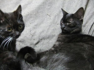 DSCF0541.JPG
