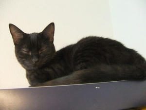 DSCF0588.JPG