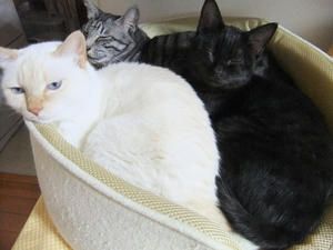 DSCF0584.JPG