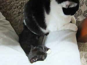 DSCF0566.JPG