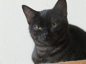 DSCF9900.JPG