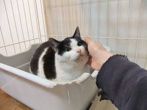 DSCF0743.JPG