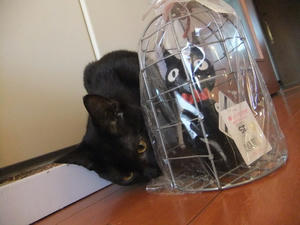 DSCF0716.JPG