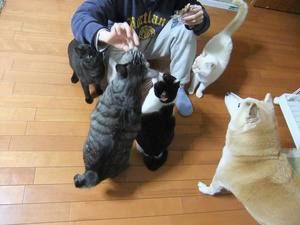 DSCF0722.JPG
