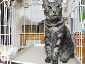 DSCF0719.JPG