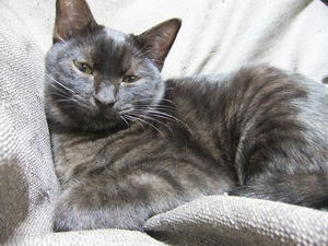 DSCF0733.JPG