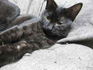 DSCF0685.JPG