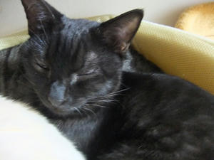 DSCF0586.JPG