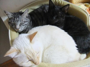 DSCF0585.JPG