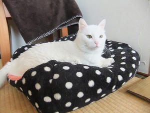 DSCF0732.JPG