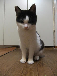 DSCF0773.JPG